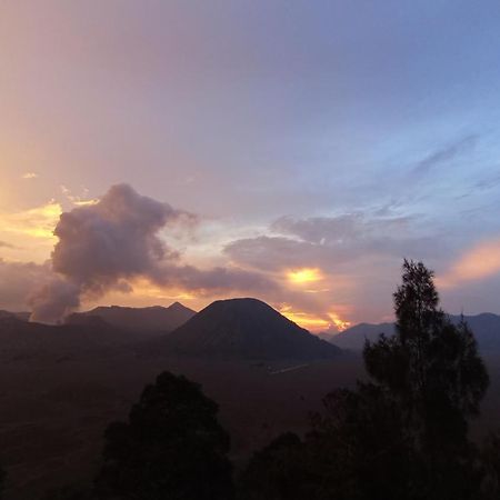 Bromo Holiday Guest House Ngadisari ภายนอก รูปภาพ