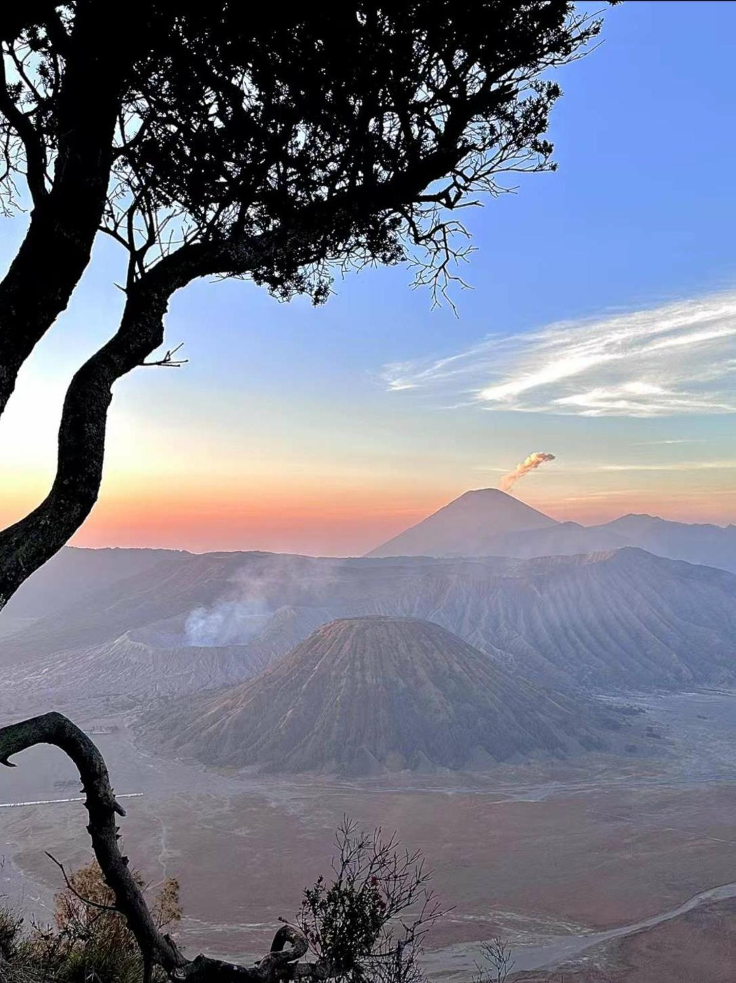 Bromo Holiday Guest House Ngadisari ภายนอก รูปภาพ